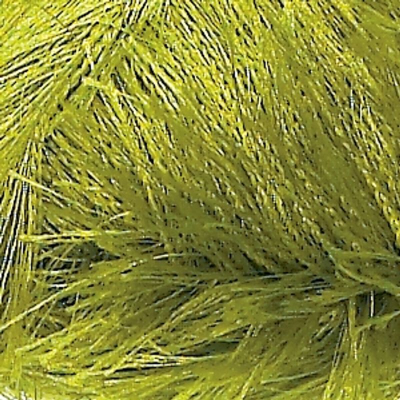 Tindra - lime